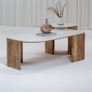 Vandana Zenova Sierra Marble-Top Coffee Table for Modern Living Room and Contemporary Décor