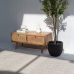 Vandana Zenova Ultra Rattan-Drawer Wooden Unit for Modern Living Room and Contemporary Décor