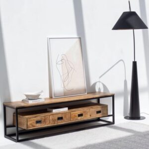 Vandana Novara Radiant Industrial Design TV Unit Modern Metal & Wood Entertainment Console