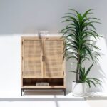 Vandana Arista Radiant Two Doors Rattan Cabinet & Sideboard for Stylish Modern Home Interiors