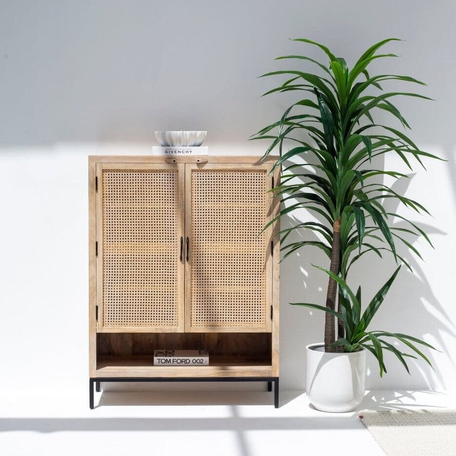 Vandana Arista Radiant Two Doors Rattan Cabinet & Sideboard for Stylish Modern Home Interiors Vandana Arista Radiant Two Doors Rattan Cabinet & Sideboard for Stylish Modern Home Interiors