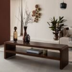 Vandana Mira Zentrix mango wood TV stand