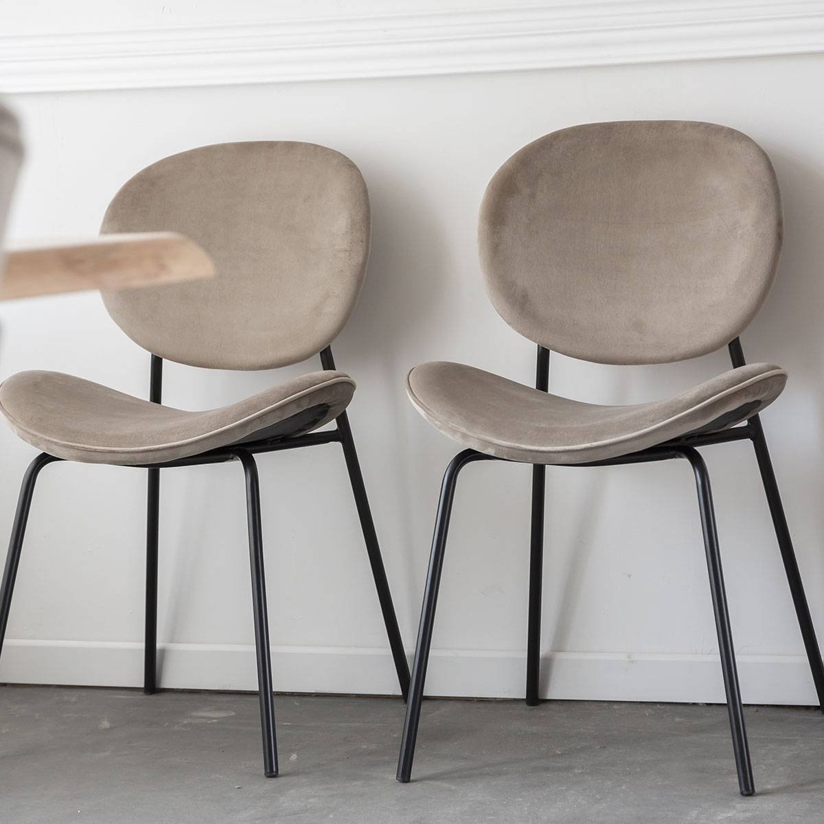 Vandana Lyra Vento chair in iced brown velvet (set of 2) Vandana Lyra Vento chair in iced brown velvet (set of 2)