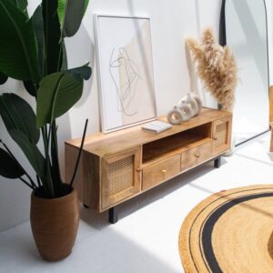 Vandana Novara Vento Rattan Doors TV Unit Modern Natural Woven Solid Wood Entertainment Console