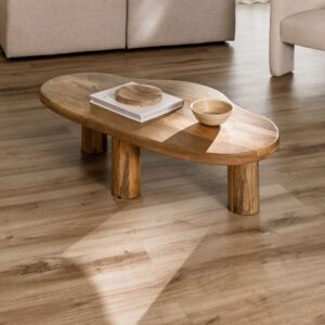 Vandana Amber Craft mango wood coffee table