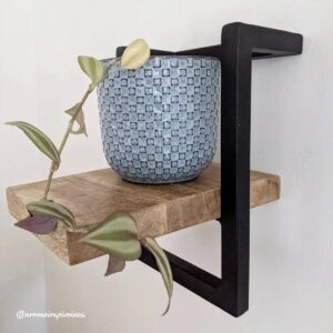 Vandana Optima Stellar Small Mango Wood Wall Shelf