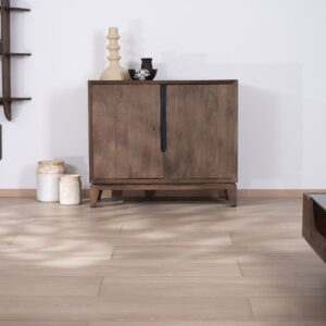 Vandana Royal Order 2-door mango wood storage unit